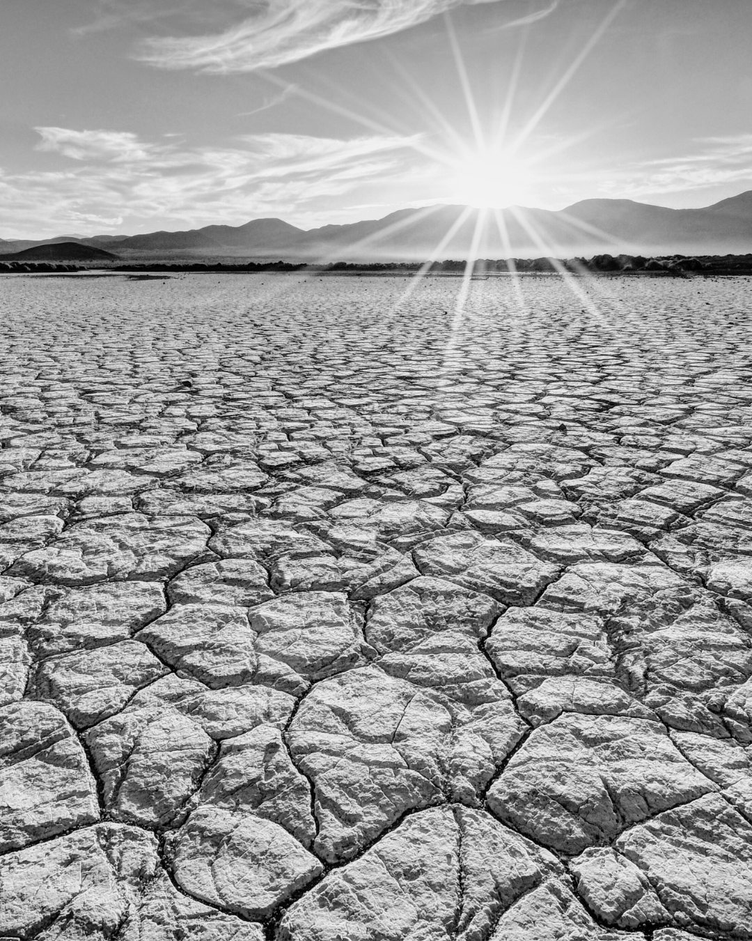 Dry