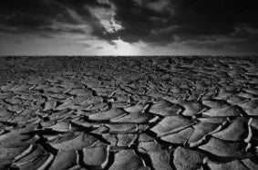 Dehydrated Skin
