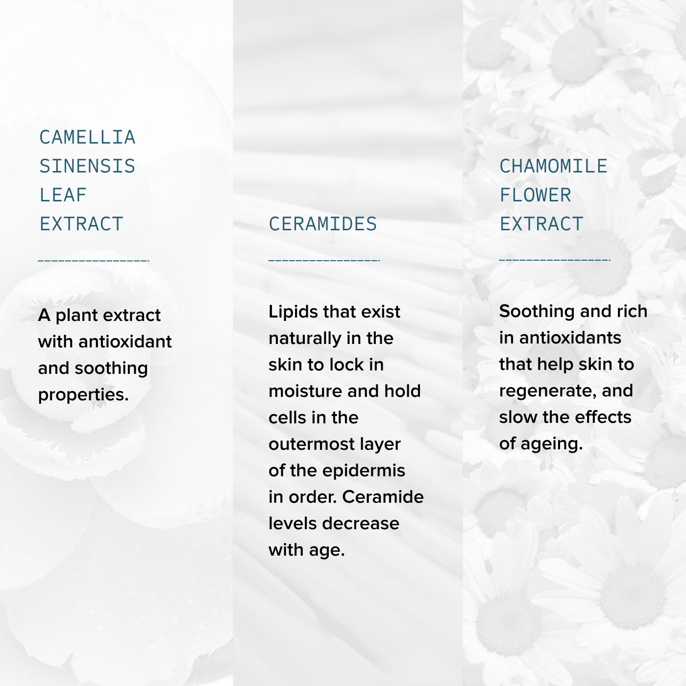 AlumierMD Gentle Foaming Cleanser ingredients