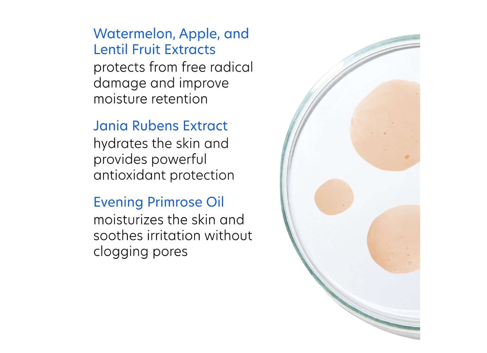 PCA Skin Hydrating Toner ingredients include watermelon, apple, lentil extracts, and evening primrose oil for skin hydration.