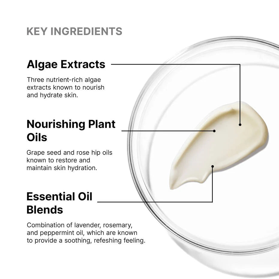 Key ingredients of SkinCeuticals Emollience: algae extracts, nourishing plant oils, essential oil blends for hydration.