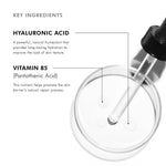 Key ingredients of SkinCeuticals Hydrating B5 Gel: Hyaluronic Acid and Vitamin B5 for hydration and skin repair.
