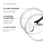 SkinCeuticals Triple Lipid Restore 2:4:2 key ingredients including ceramides, cholesterol, and fatty acids.